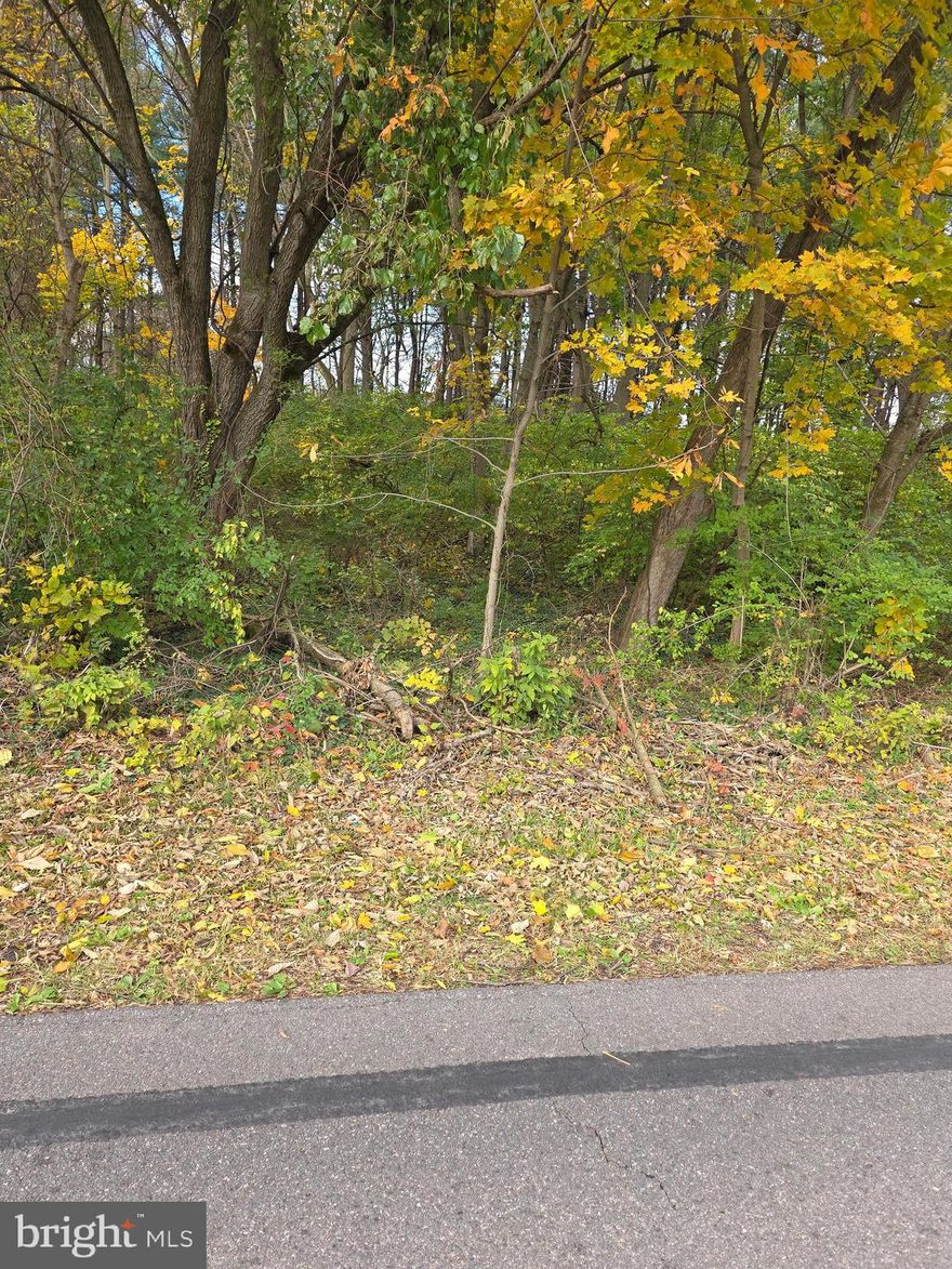 This .81 acre vacant parcel of land on Paradise Church Road for sale.  This lot has access to public water/sewer.  No building restrictions or HOA concerns.  Potential buyer(s) need to do their due diligence with regards to local government restrictions or guidelines towards new construction in Washington County.