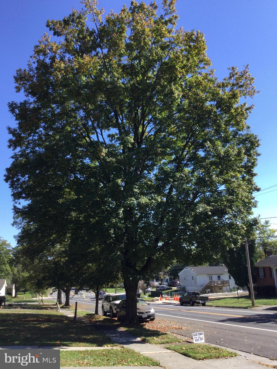 SMITHFIELD FARMS - Residential