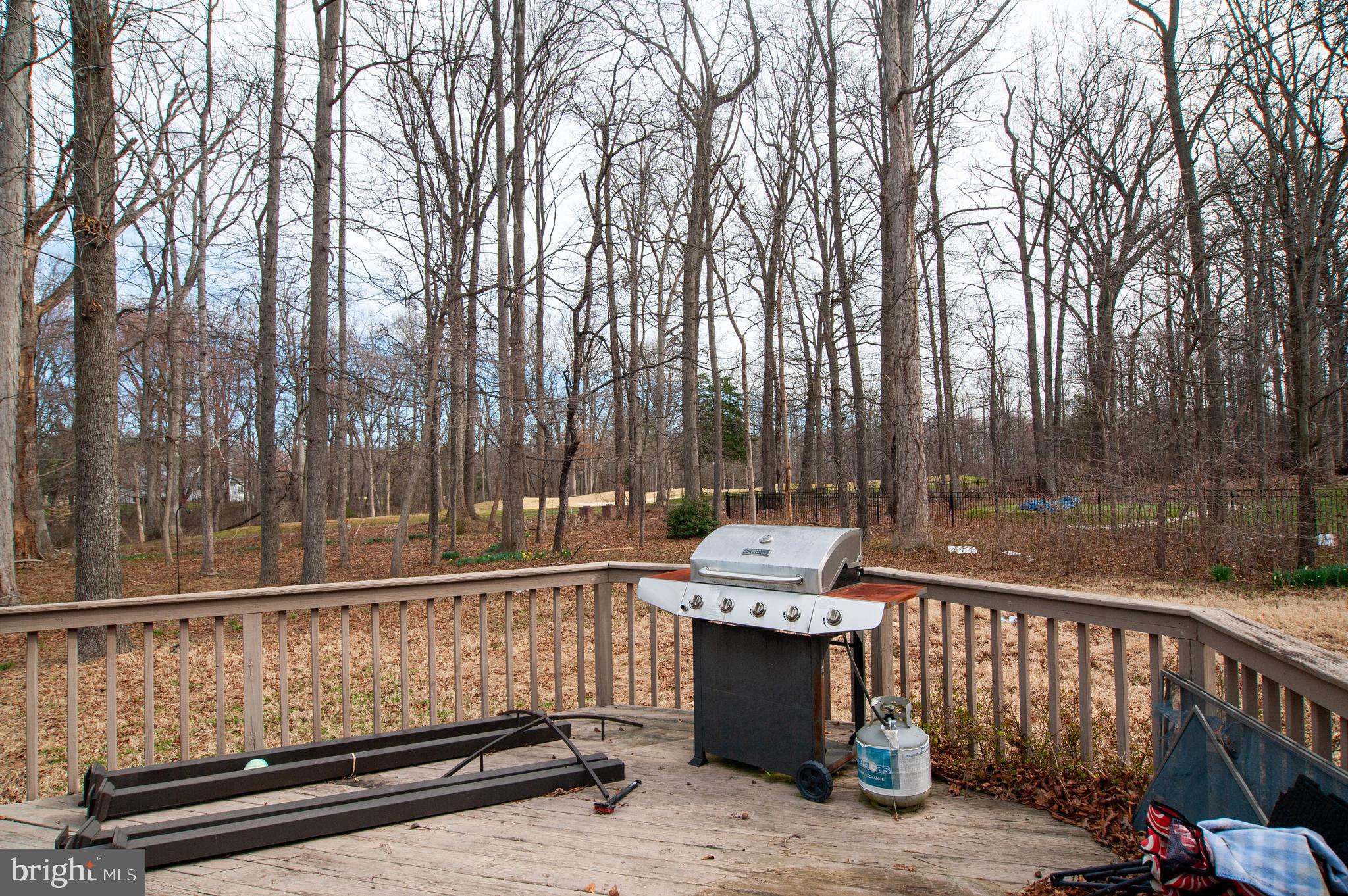 WILD QUAIL - Residential