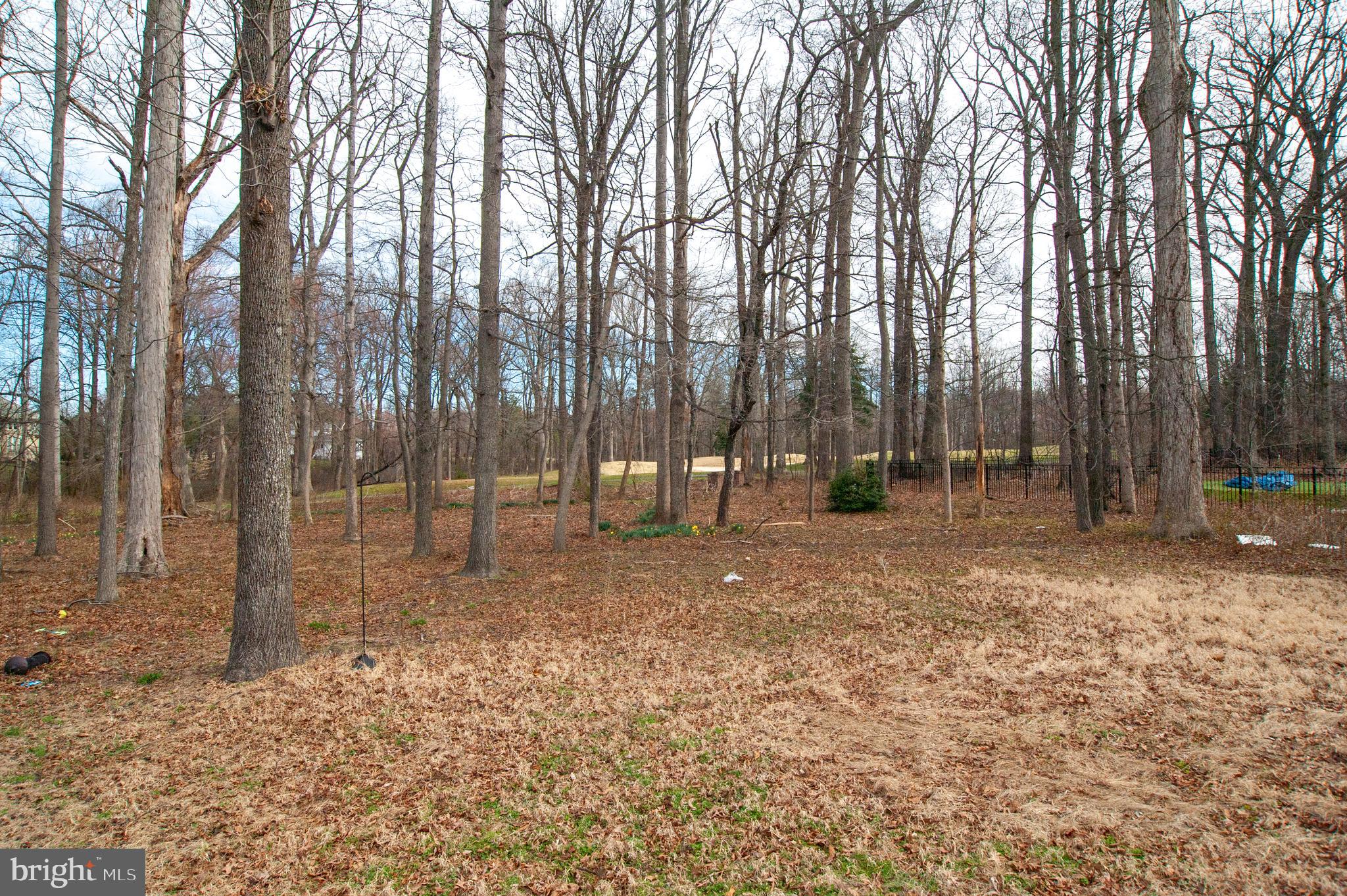 WILD QUAIL - Residential