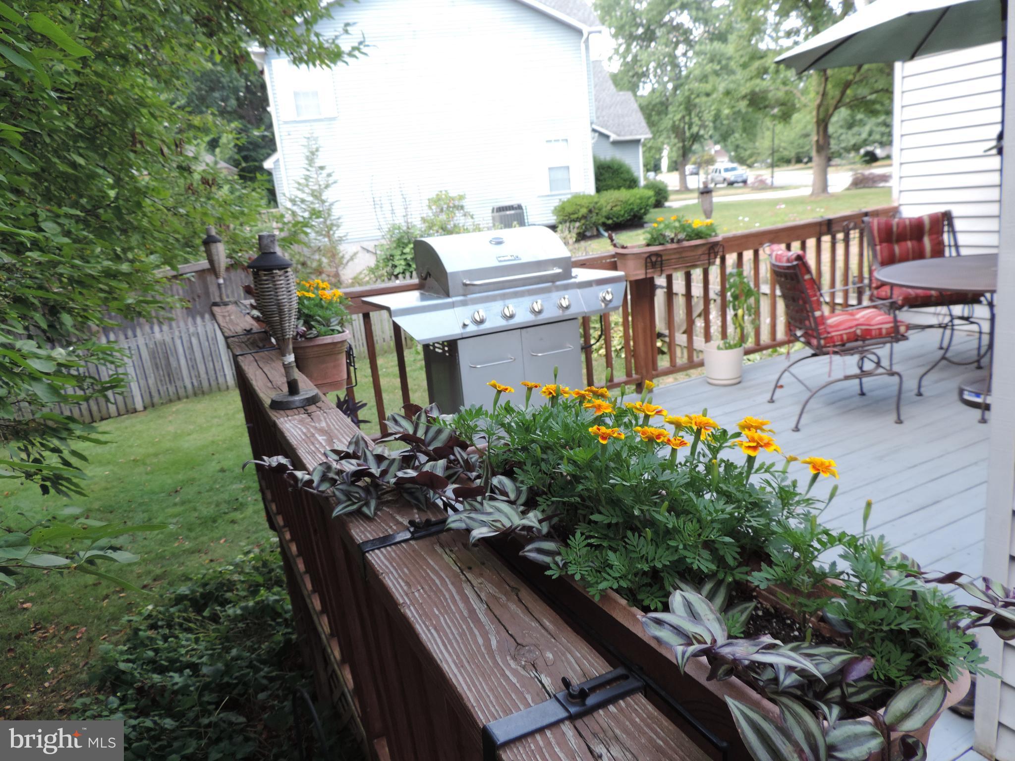 WINDEMERE - Residential