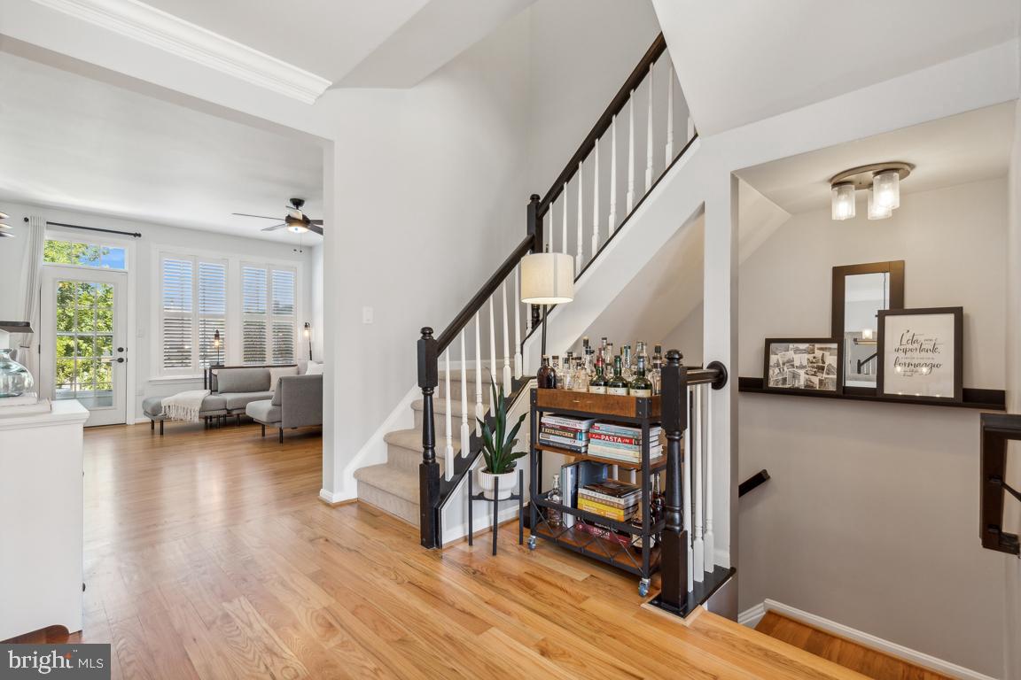 POTOMAC STATION - Residential