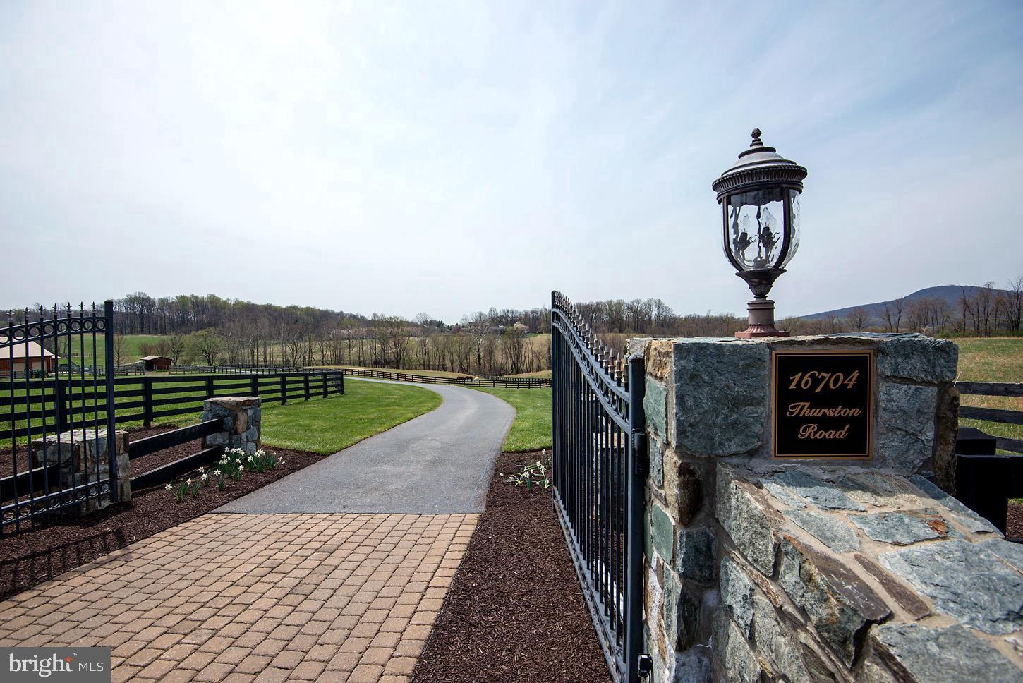 COMUS SUGARLOAF - Farm