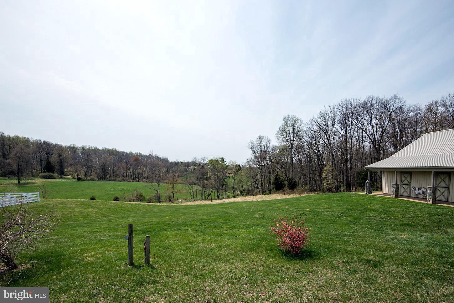 COMUS SUGARLOAF - Farm