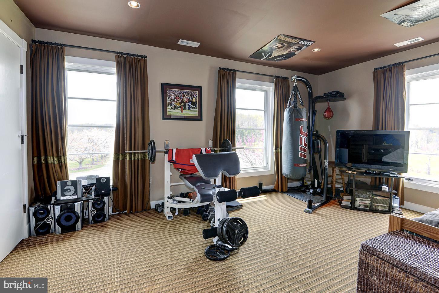 COMUS SUGARLOAF - Farm