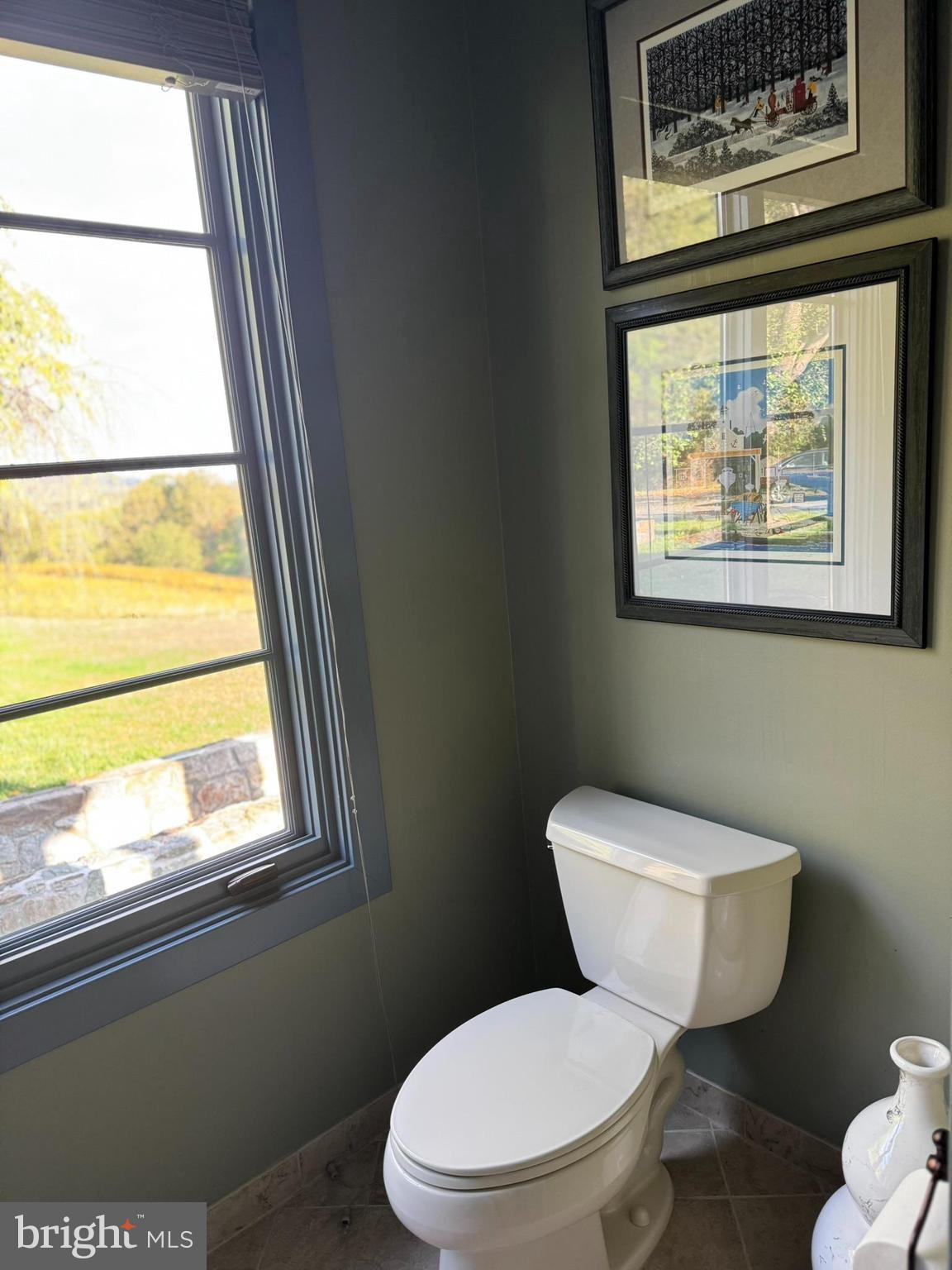 COMUS SUGARLOAF - Farm