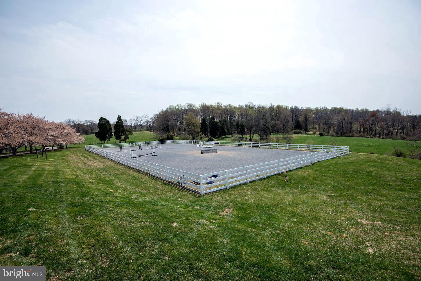 COMUS SUGARLOAF - Farm