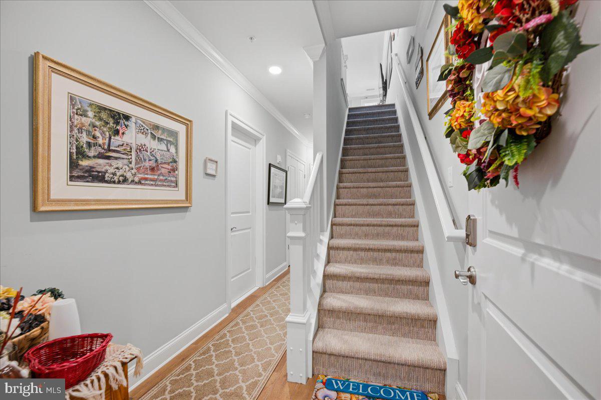 500 N BAY AVE C