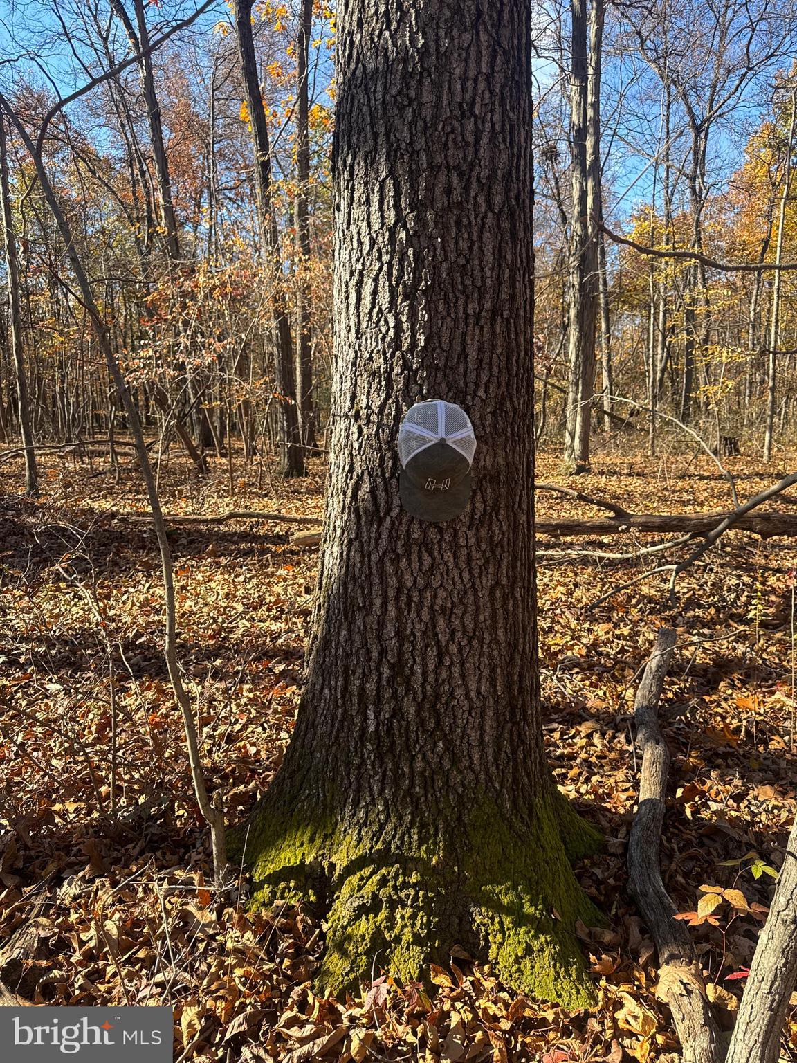 TRACT 2: 27.15+/- ACRES OLD HARRISBURG RD