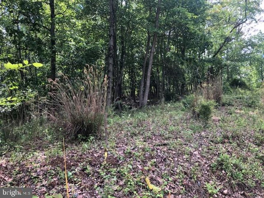 Rural location!  No HOA;  Approved Plat  Lot 1 of Papa Minor subdivision  ;  Lot 2 also  $40,000 ; both available for a total of  approximately 2.6 acres for price of $75,000;   acceptable perc test in 2007;  see docs; no permit application; buyer due diligence ;  electrical lines at site; wooded lots