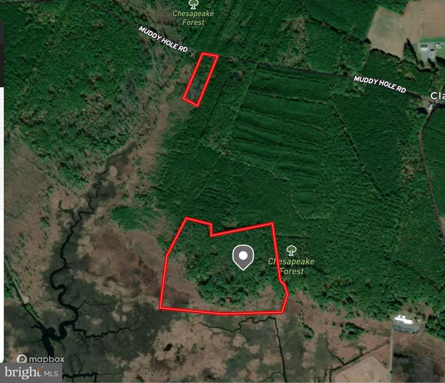 Incredible sika deer hunting property!