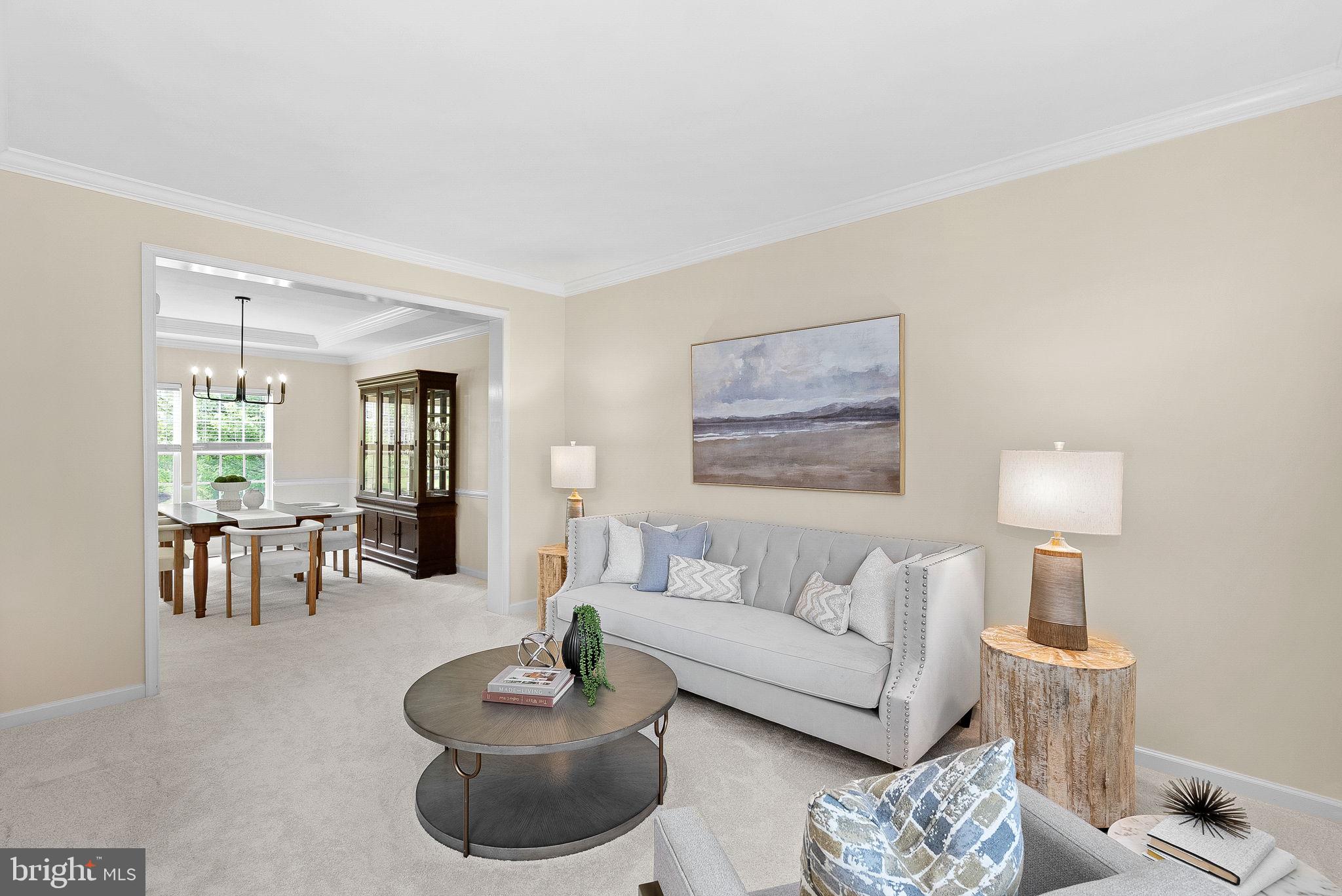 25562 MINDFUL COURT
