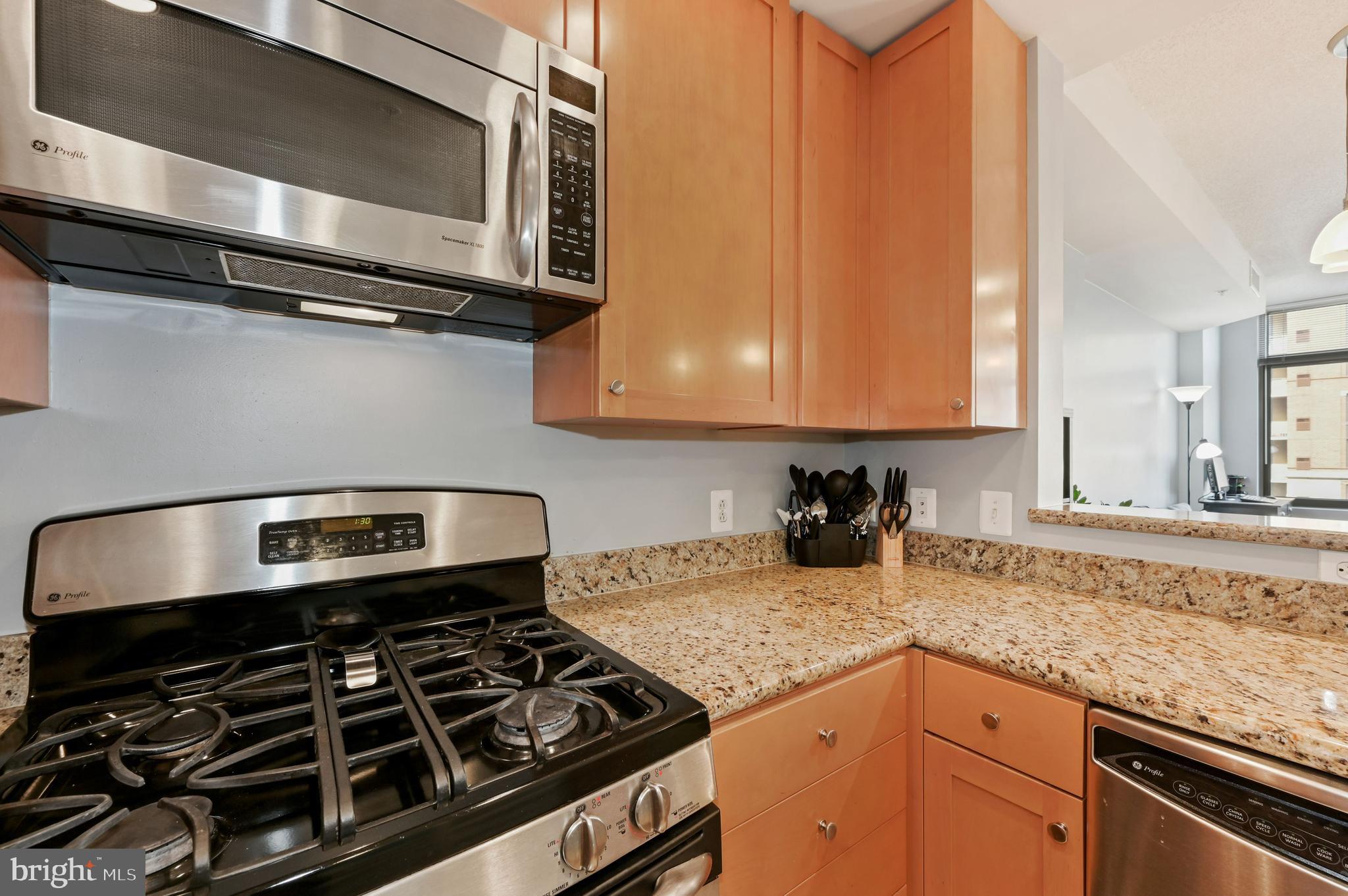 ECLIPSE ON CENTER PARK - Residential