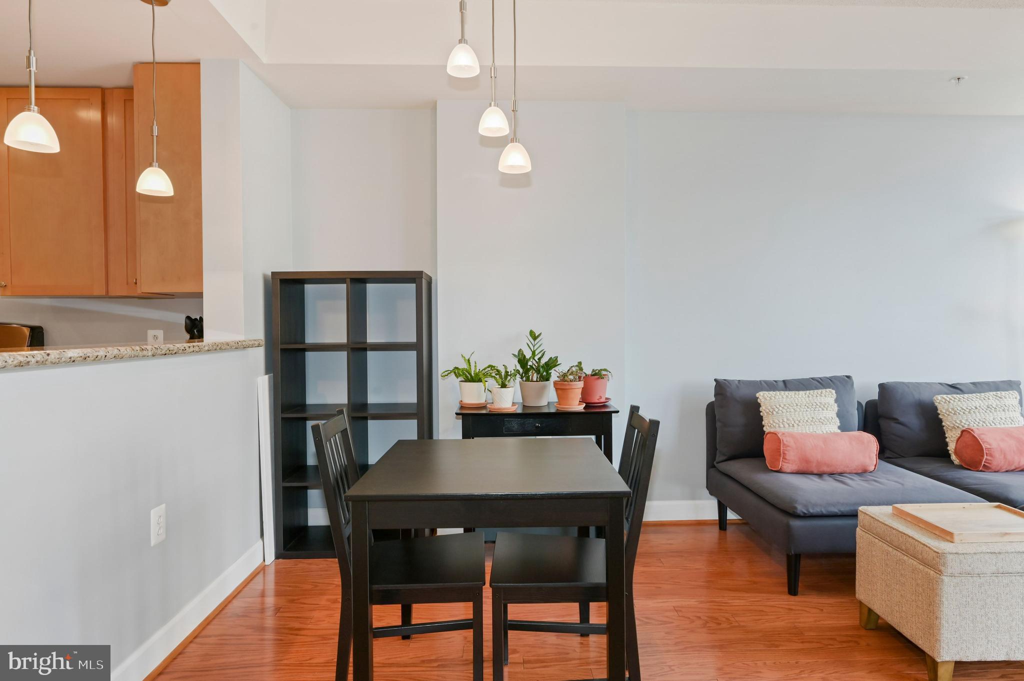 ECLIPSE ON CENTER PARK - Residential