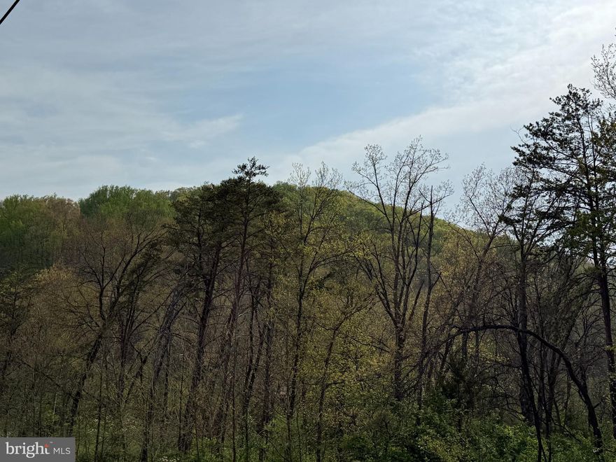 Property has 3-bedroom certification letter on file.   Enjoy the views!  Build your weekend getaway for full time living!  We have builders to build your dream home!  Enjoy Shenandoah Farms Riverview Boat Landing, with Access to the Shenandoah River, Farms River Road Rec Lot, Lake of the Clouds, Spring Lake, Shenandoah River Recreational Lot, Treasure Island, & Community Center. Visit Shenandoah Farms Website For More Info. A outdoor lover's dream location. Minutes to trails, hiking, wineries, restaurants & more. Great access to I-66 ,  Minutes to Front Royal, shopping, restaurants, & entertainment.