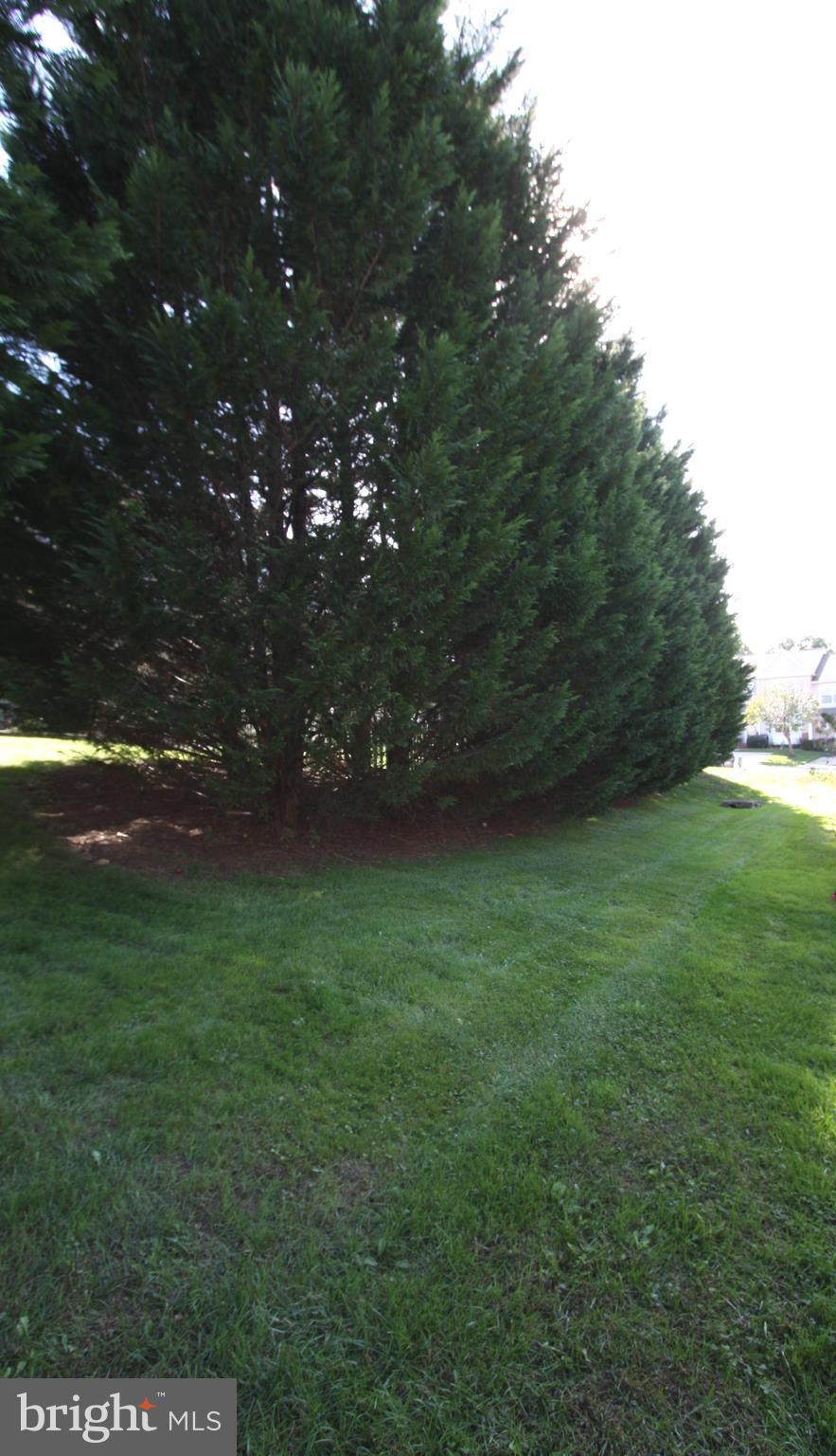 ROSEFIELDS - Residential Lease