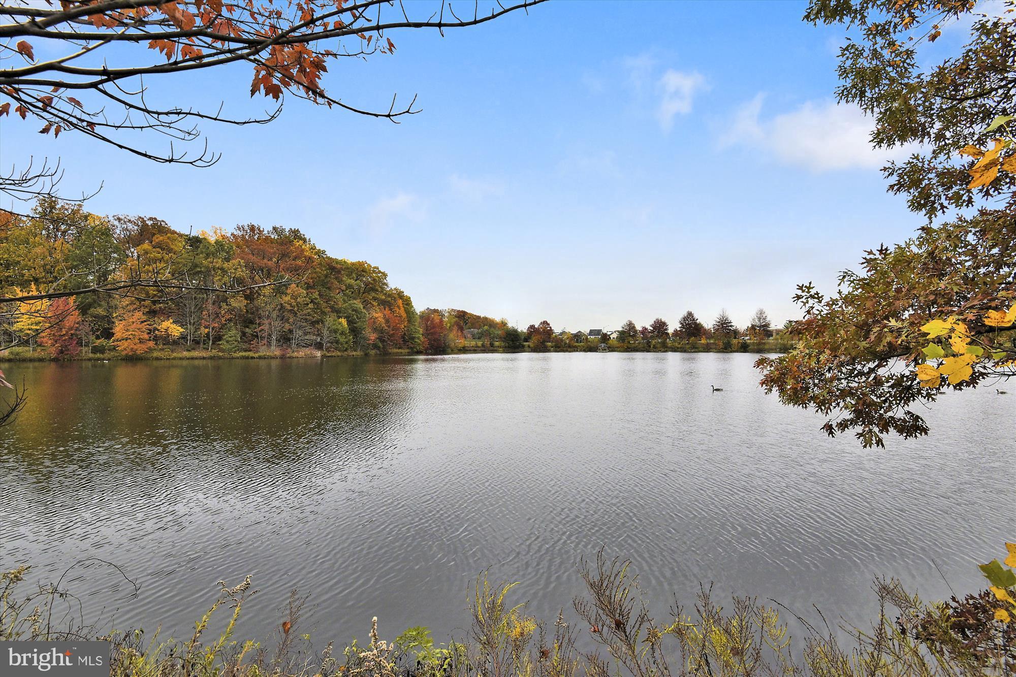 TIMOTHY PARK - Residential Lease