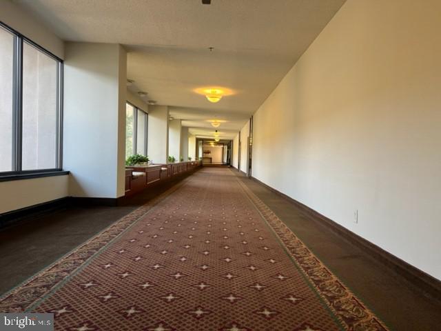 SKYLINE HOUSE - Residential Lease