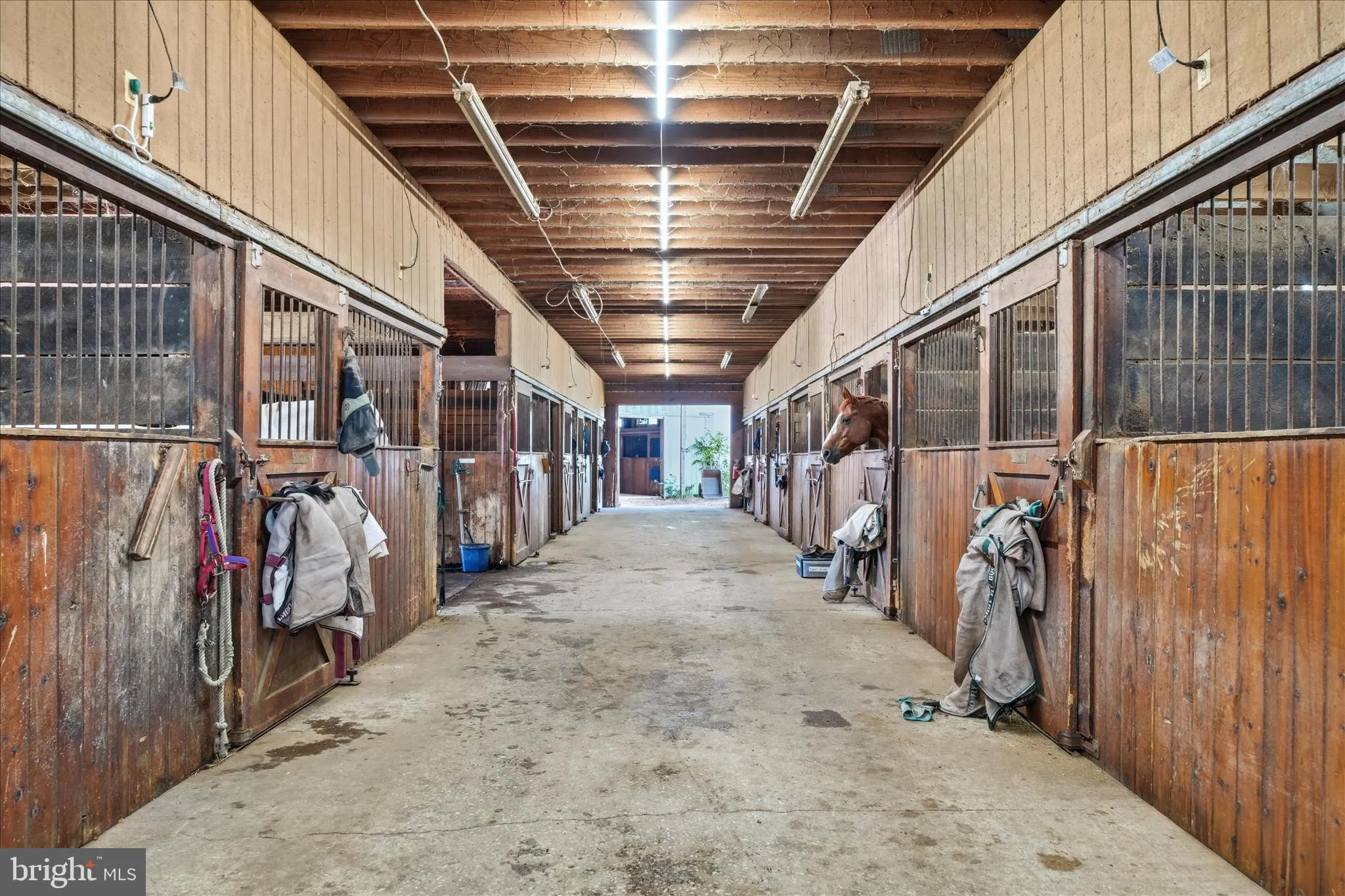 Additional image 111 of 20800 Whites Ferry Road, Poolesville, MD 20837