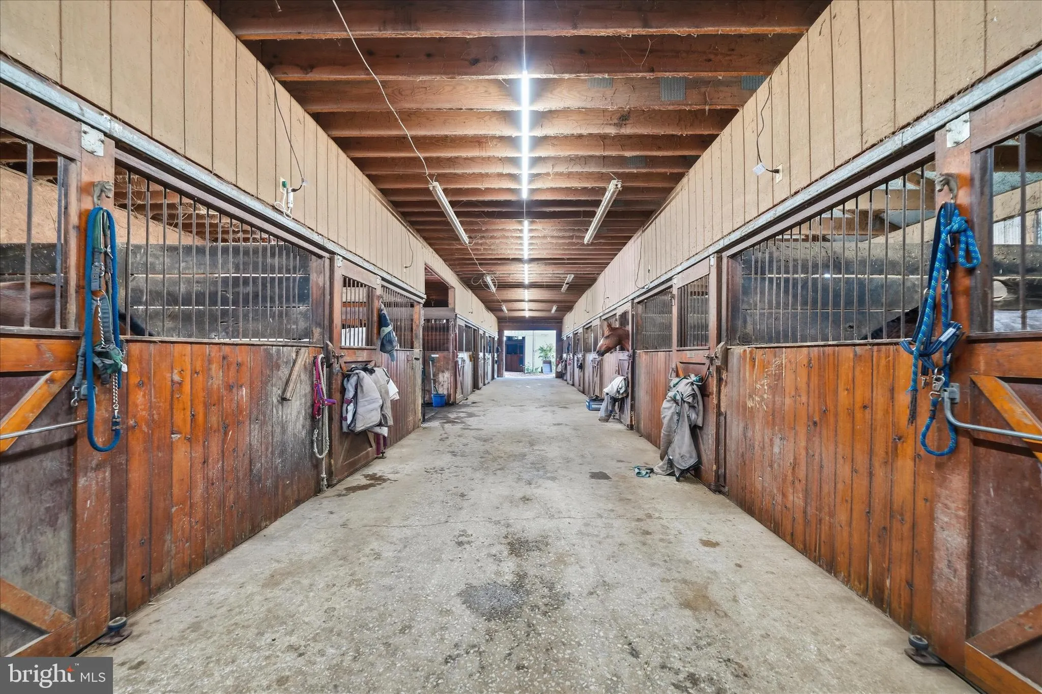 Additional image 110 of 20800 Whites Ferry Road, Poolesville, MD 20837
