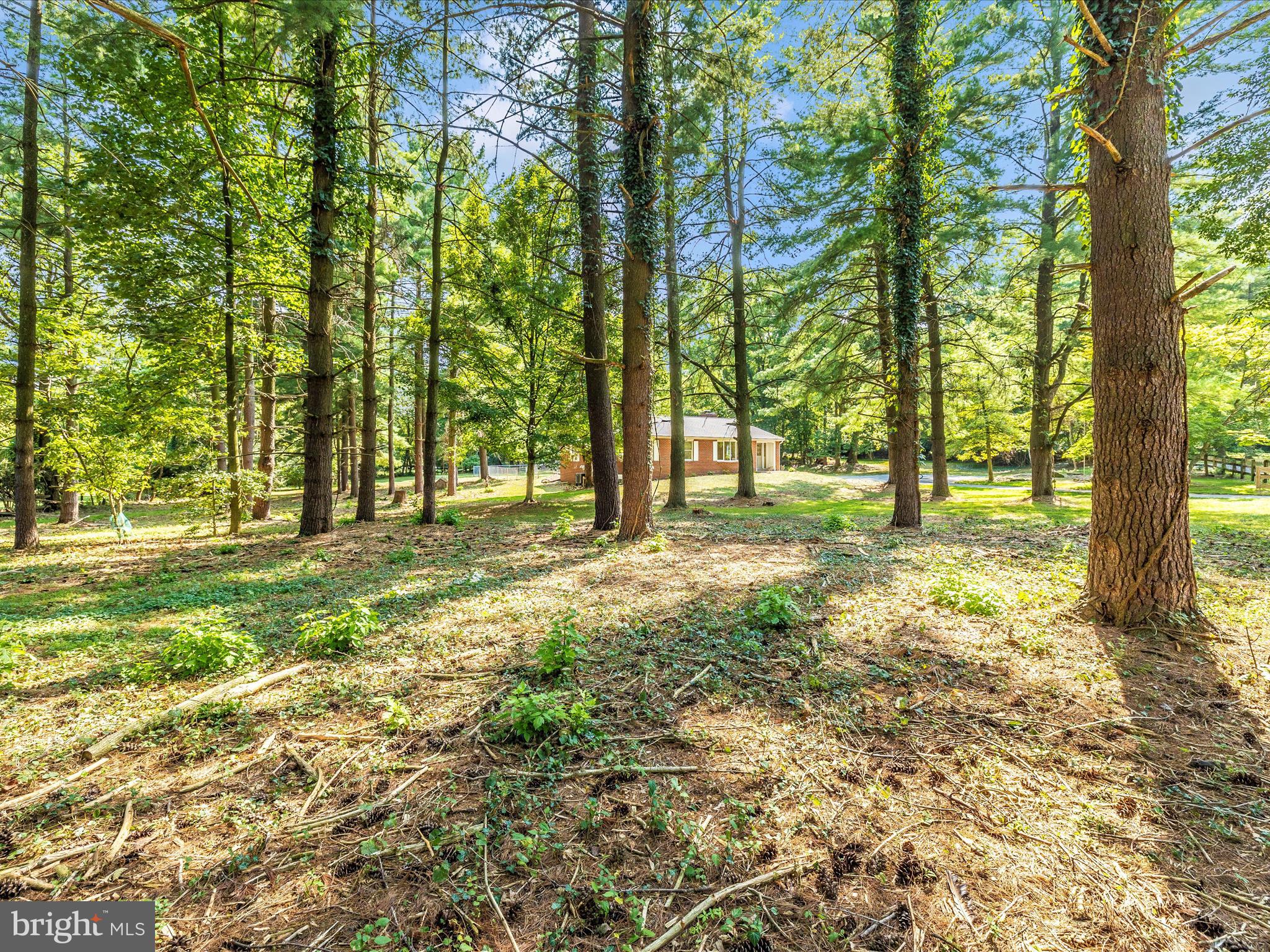 HORSESHOE BEND - Residential