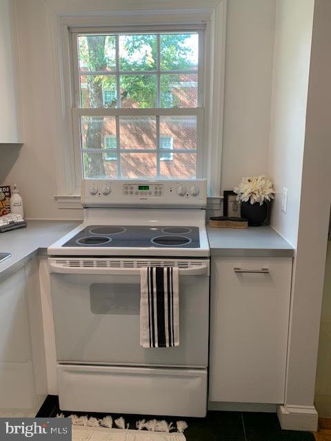 COMMONS OF ARLINGTON - Residential Lease