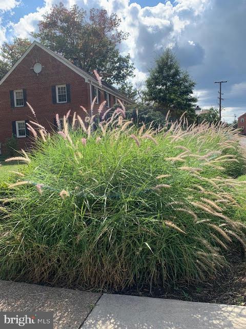 COMMONS OF ARLINGTON - Residential Lease