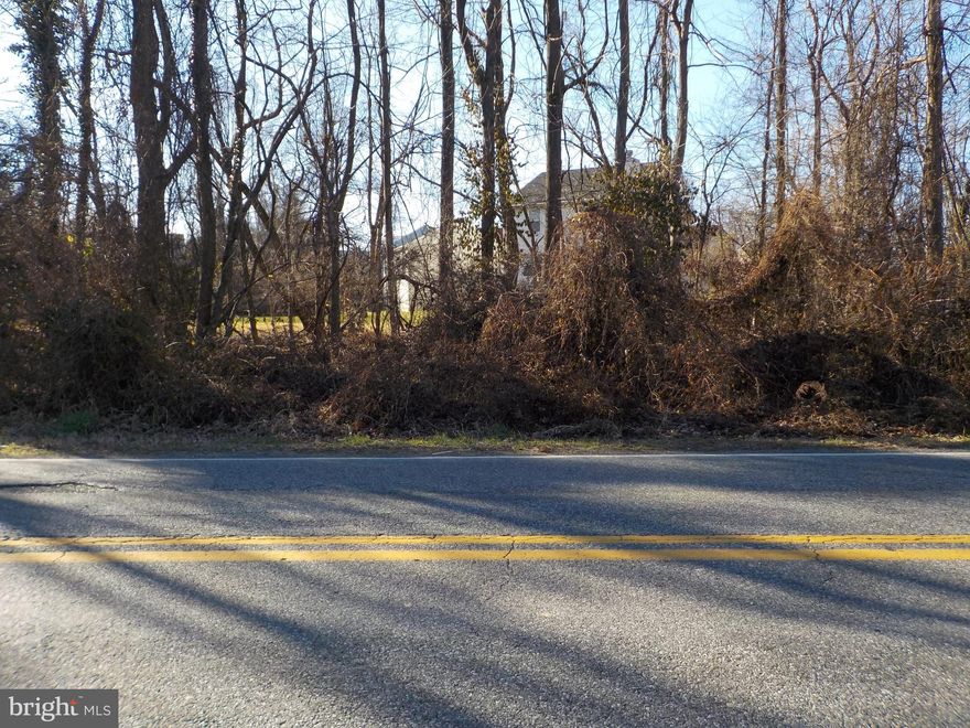 Single Family building lot. Recorded. Must be sold with lot next door at 1005 Rollins Ave. Settlement to be done at Title Max.