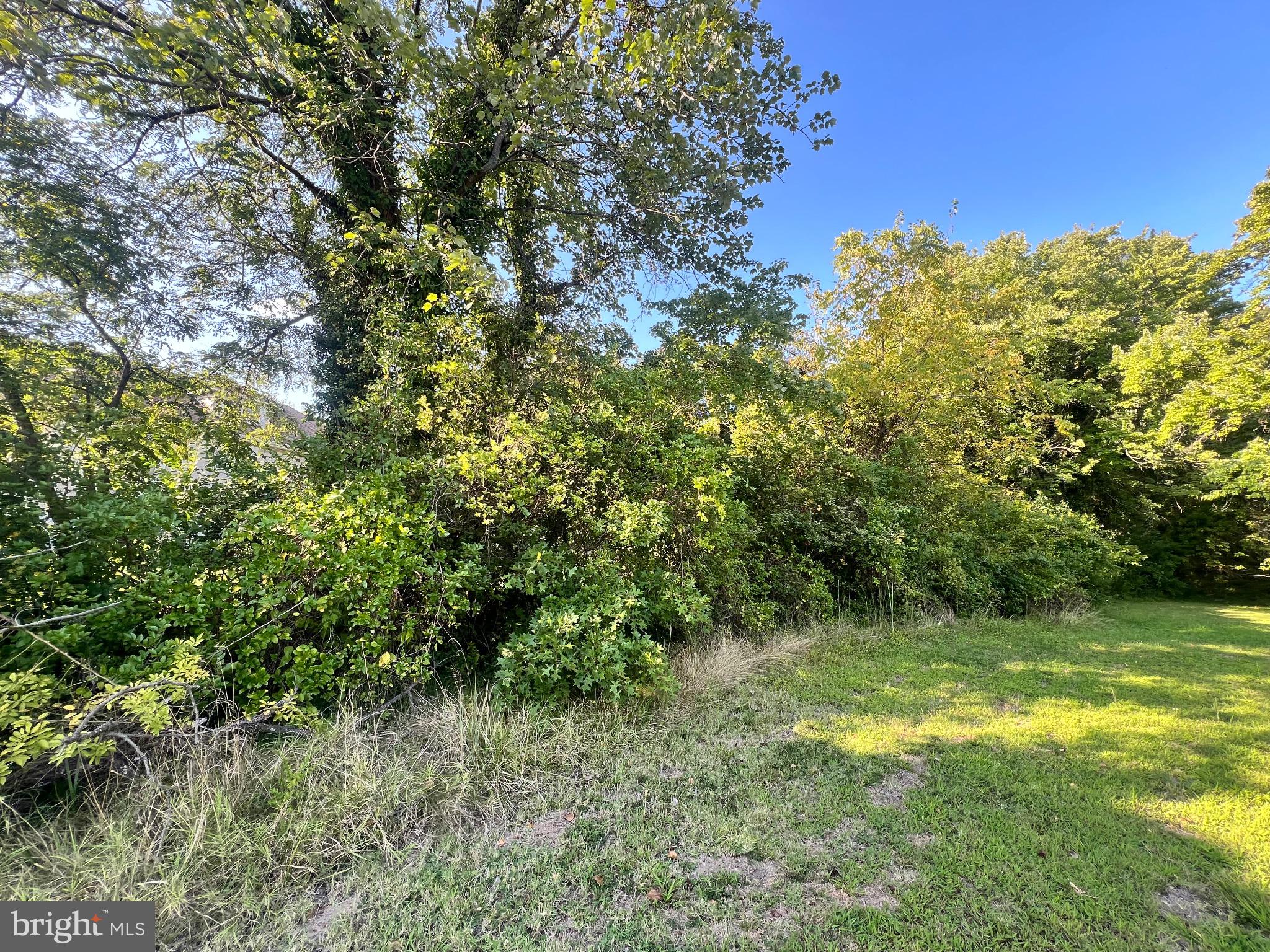4230 SILVER SPRING ROAD