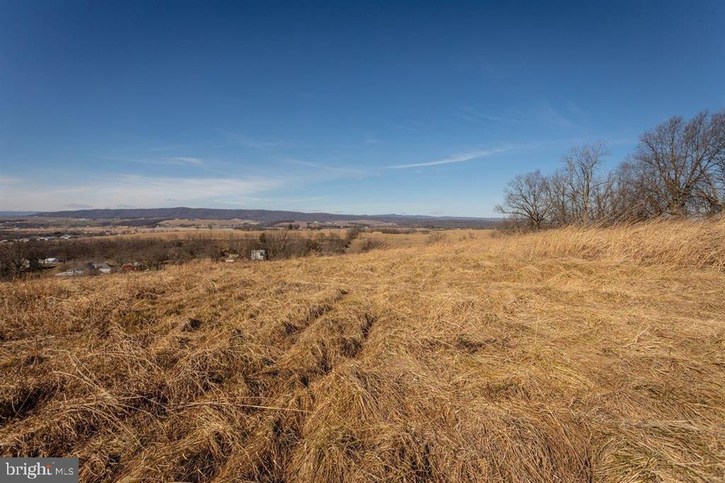 15854 FORESTVILLE ROAD