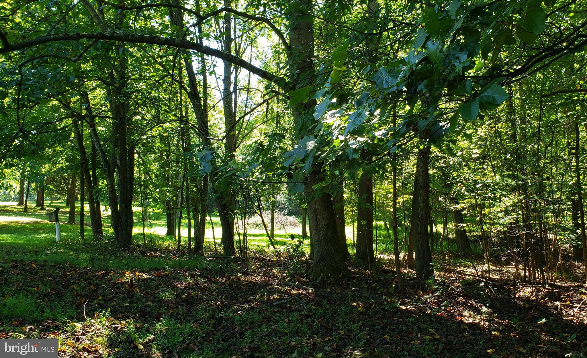 CHESTNUT GROVE - Land