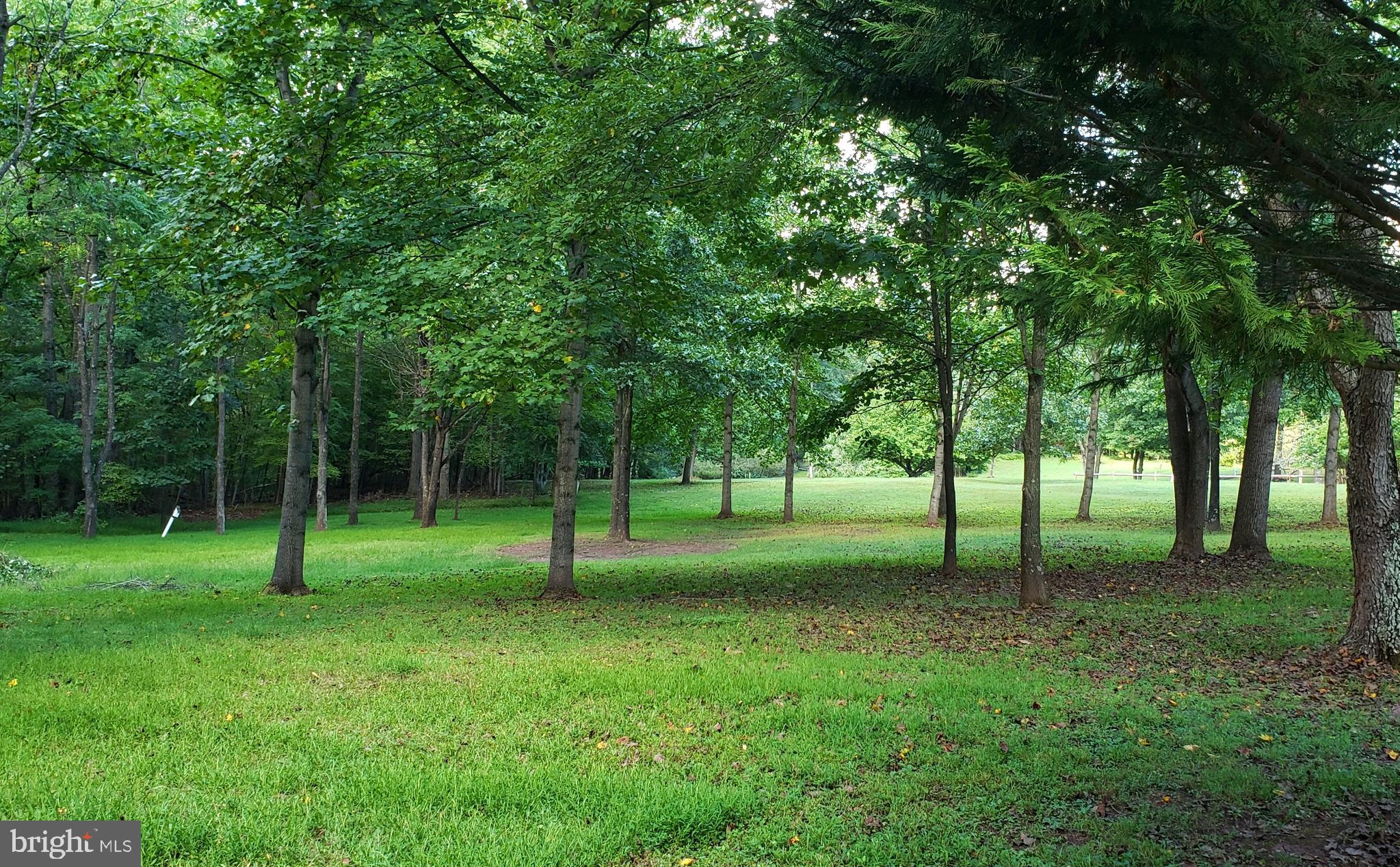 CHESTNUT GROVE - Land