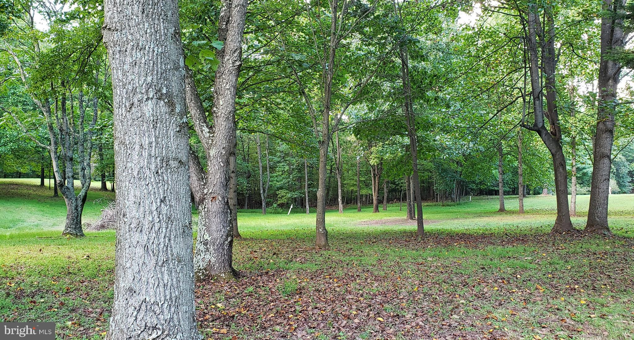 CHESTNUT GROVE - Land