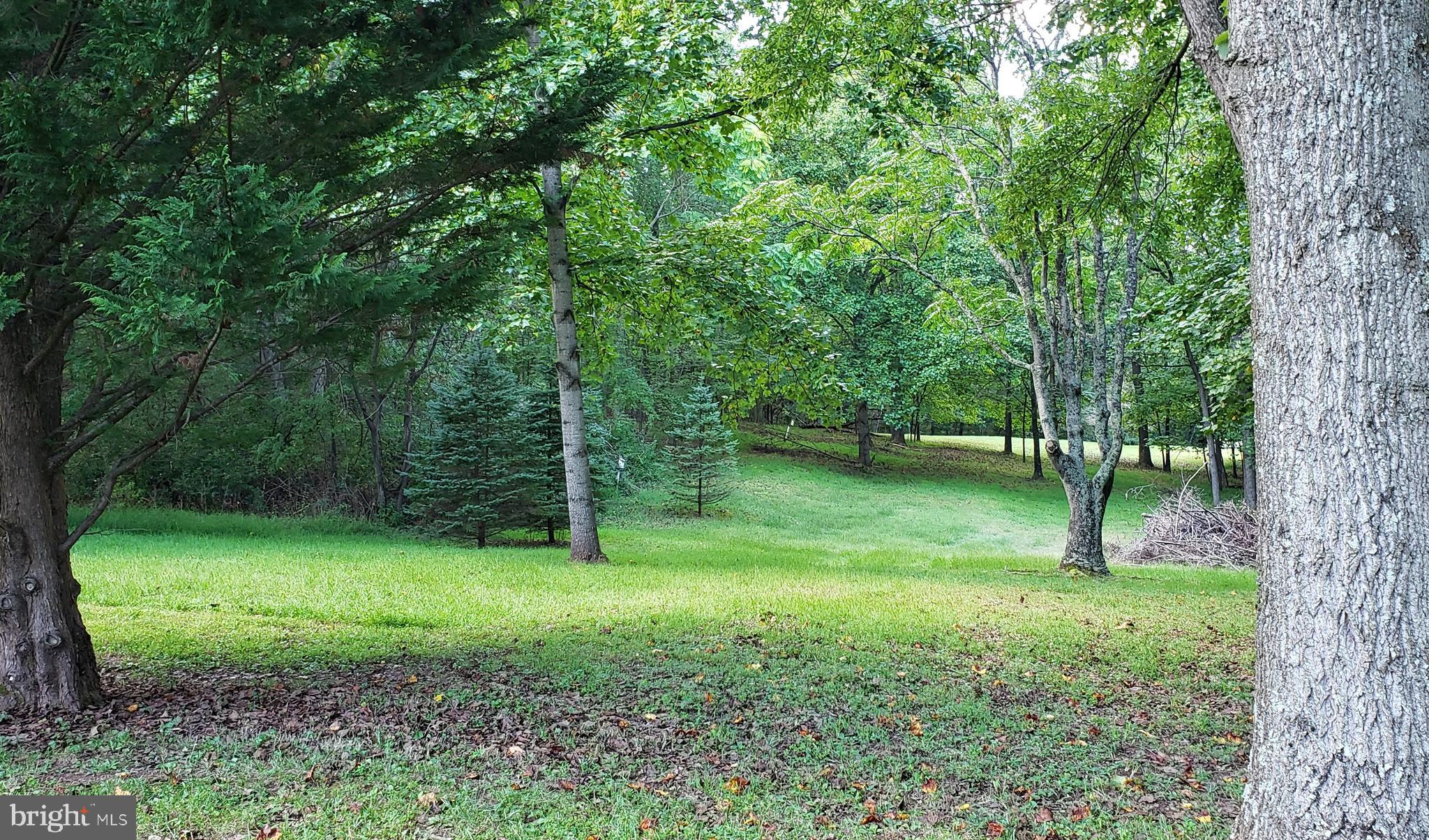 CHESTNUT GROVE - Land