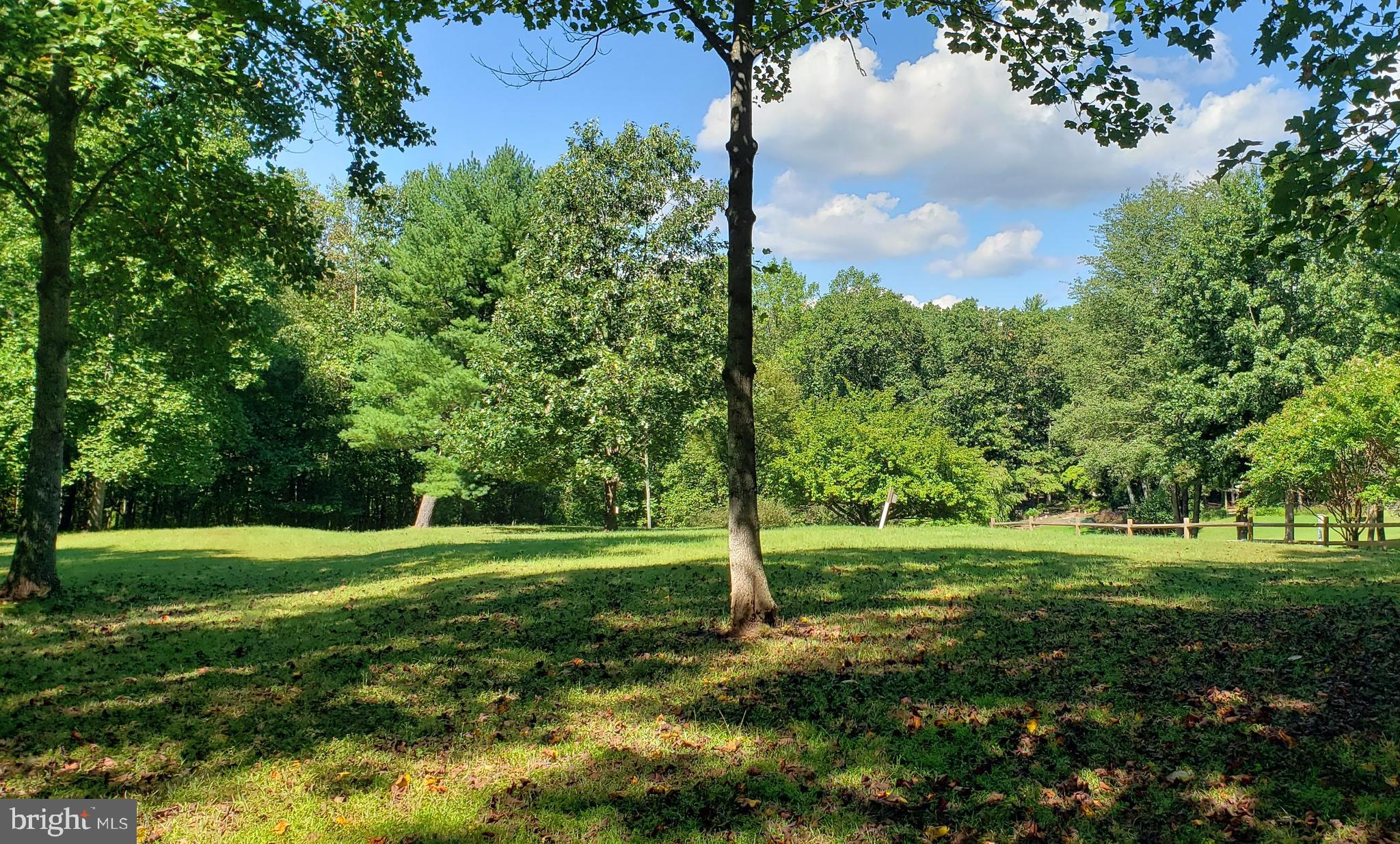 CHESTNUT GROVE - Land