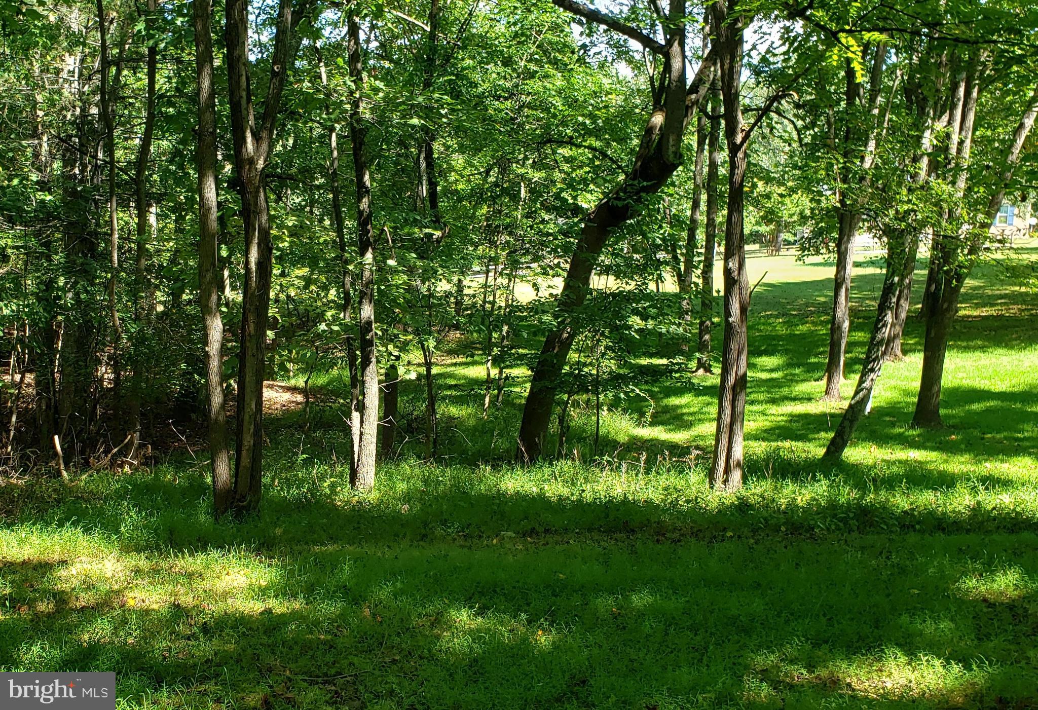 CHESTNUT GROVE - Land