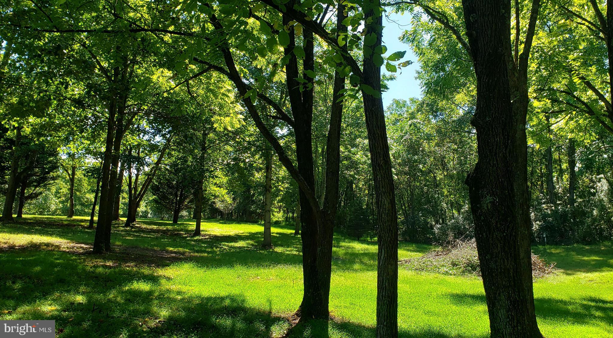 CHESTNUT GROVE - Land