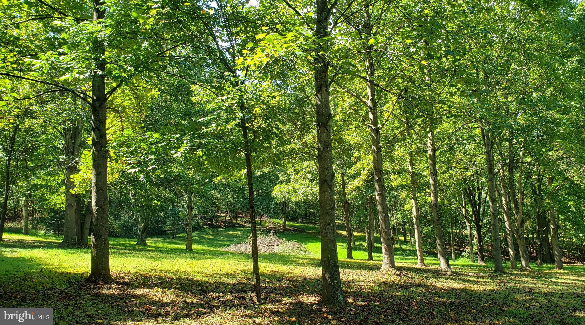 CHESTNUT GROVE - Land