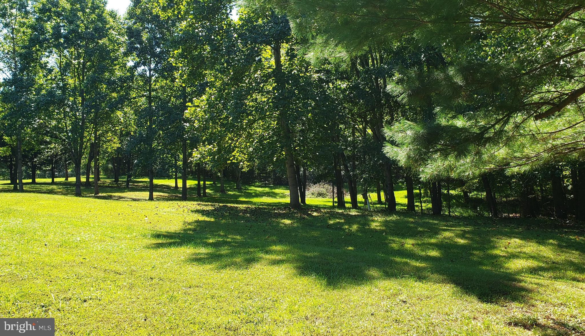 CHESTNUT GROVE - Land