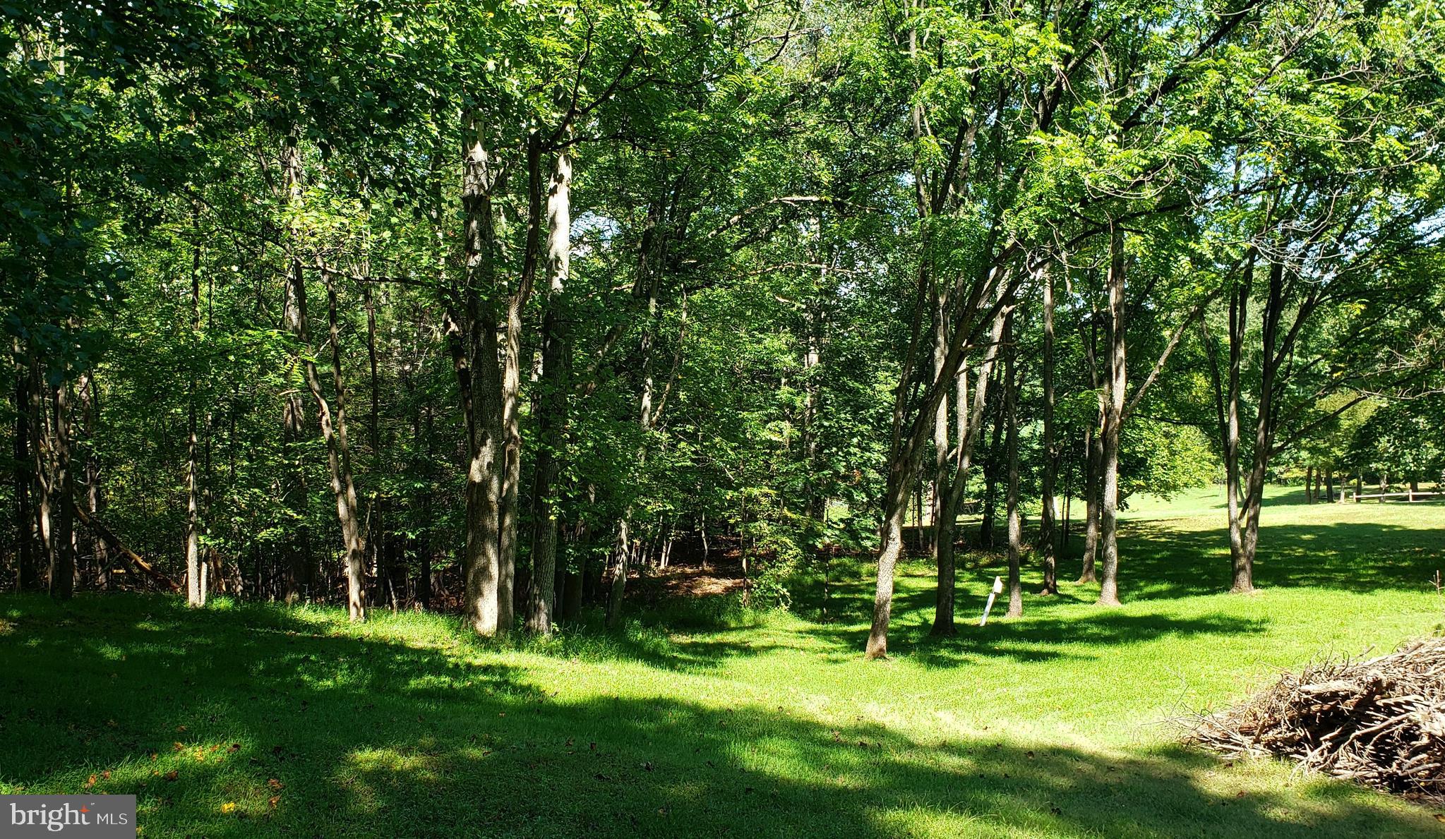 CHESTNUT GROVE - Land