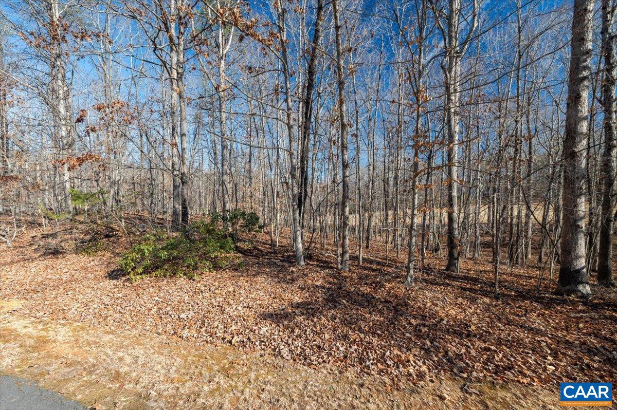 SHENANDOAH CROSSING - Land