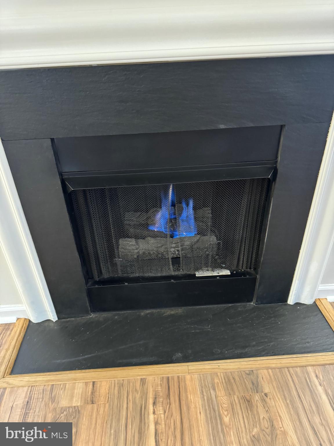 SAVOY PARK CONDOMINIUMS - Residential