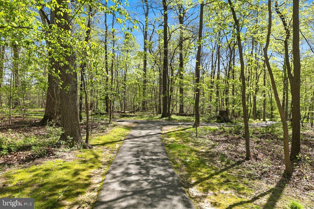 VILLAGE OF HICKORY RIDGE - Residential