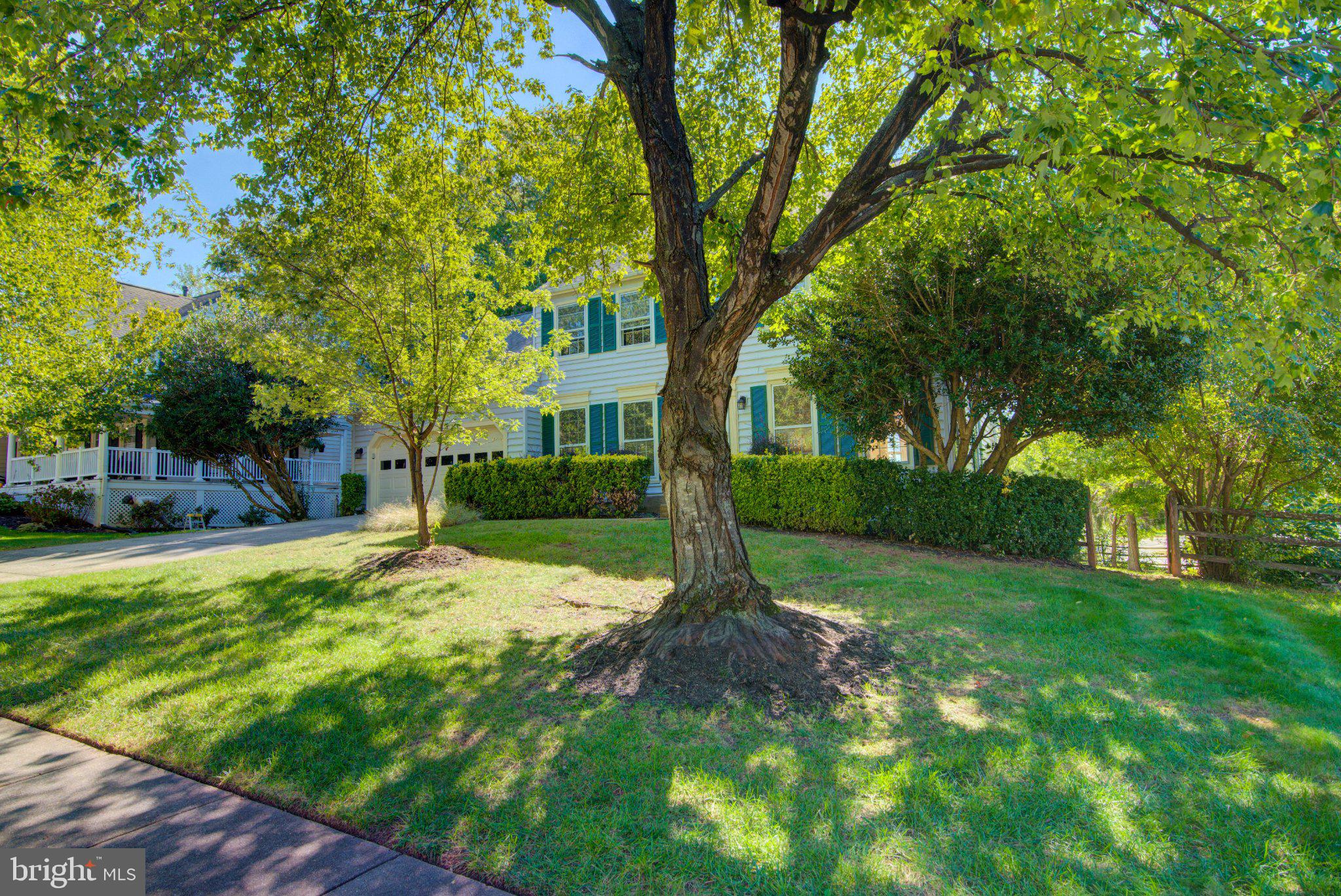 5305 CAT TAIL COURT