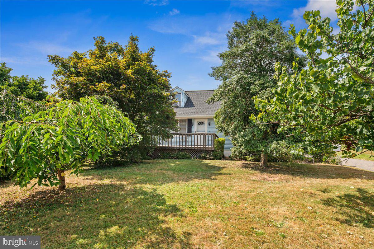 10 PARK LAKE AVENUE