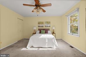 CHIPPENDALE - Residential