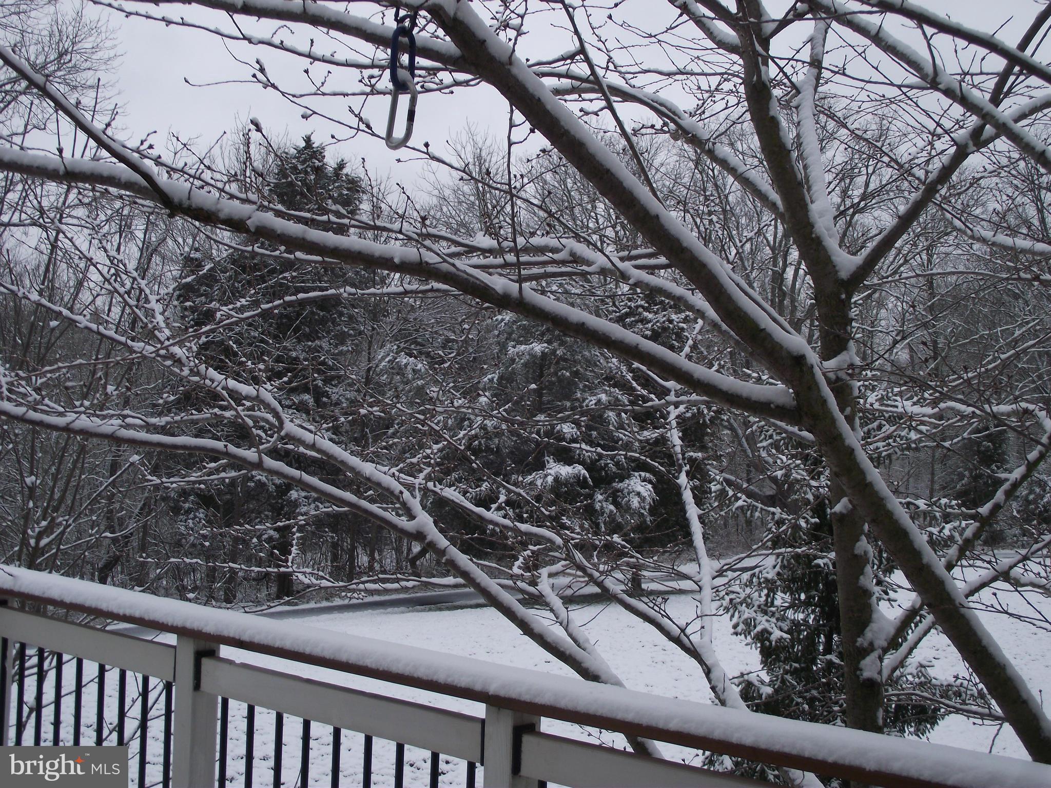 DOMINION VALLEY COUNTRY CLUB - Residential Lease