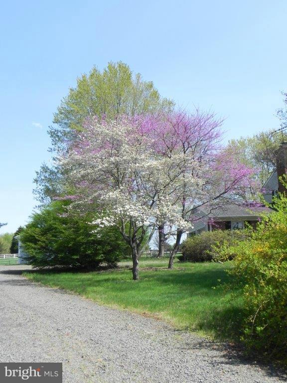 CASANOVA HILLS - Farm