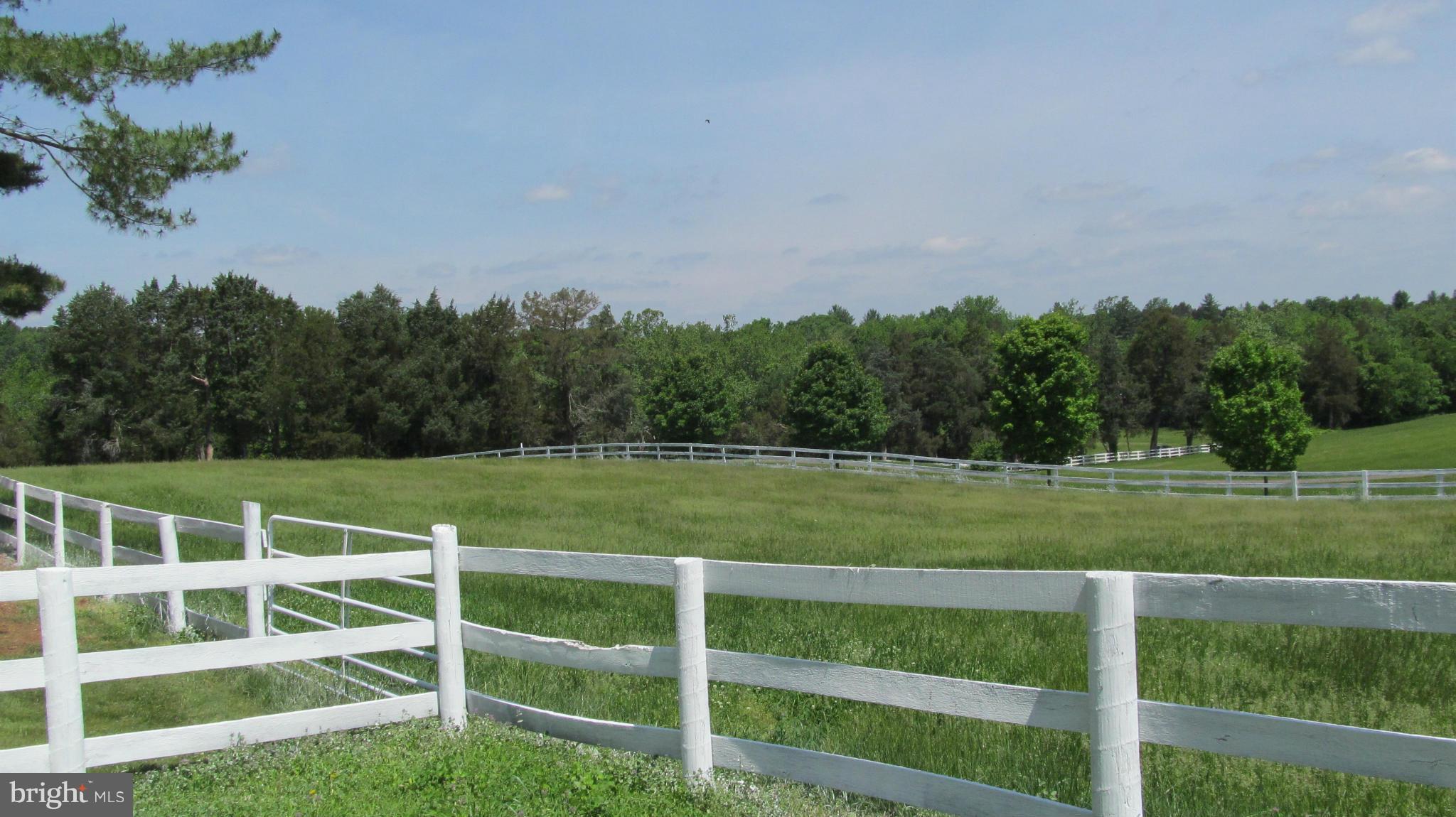 CASANOVA HILLS - Farm