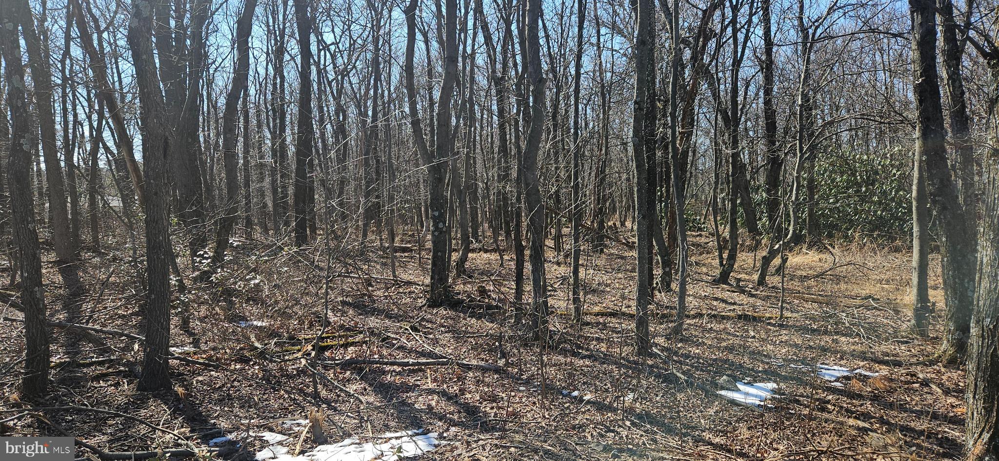 Lot 92 ANTELOPE TRAIL